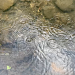 Rain Into Water