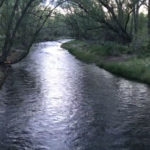 Clear Creek - Spring
